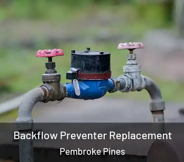  Backflow Preventer Replacement Pembroke Pines