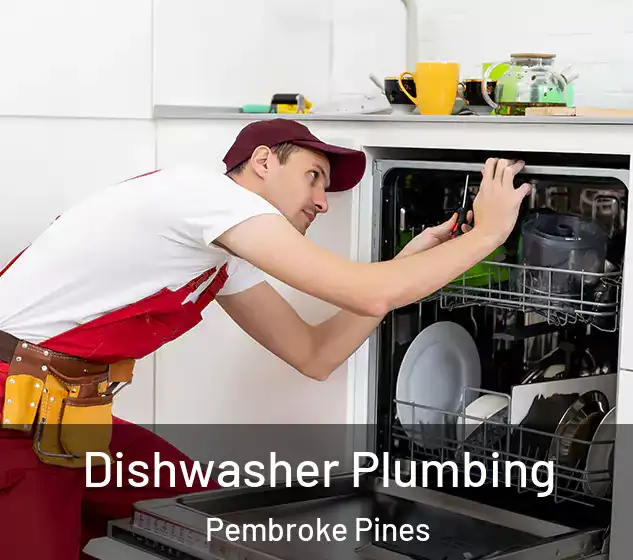  Dishwasher Plumbing Pembroke Pines