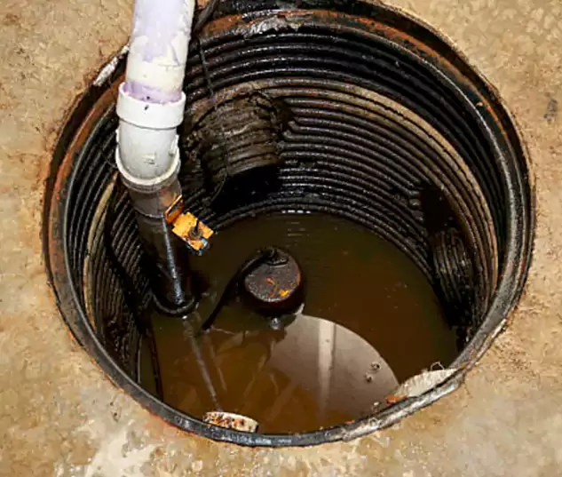 Meet Our Local Pembroke Pines, FL Plumbing Team