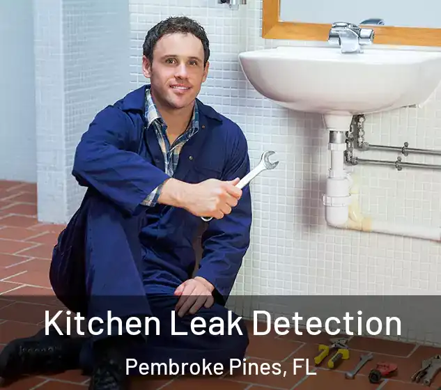  Kitchen Leak Detection Pembroke Pines, FL