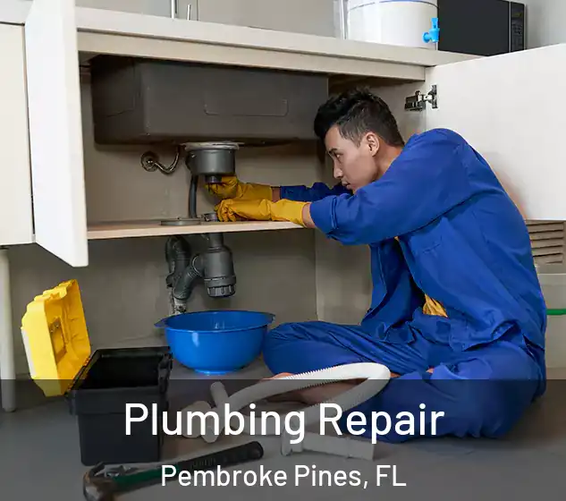  Plumbing Repair Pembroke Pines, FL