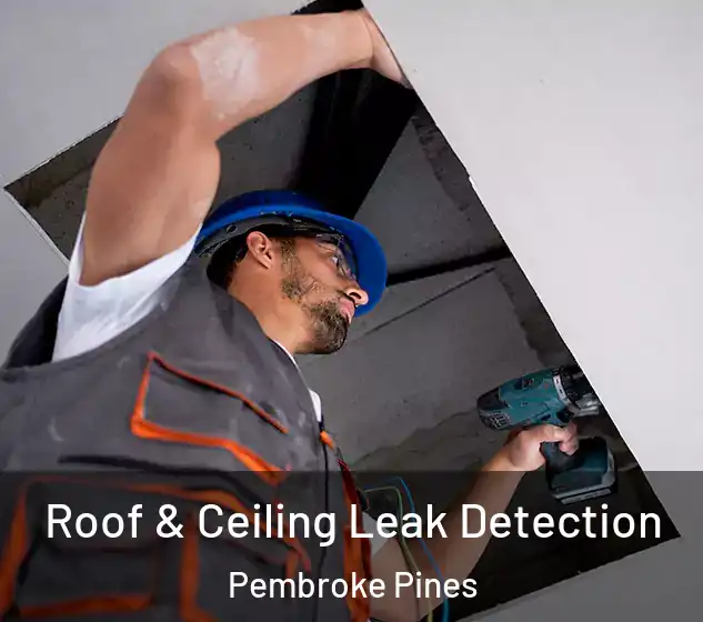  Roof & Ceiling Leak Detection Pembroke Pines